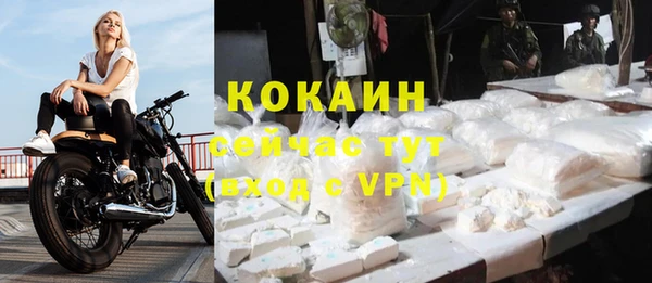 спайс Баксан