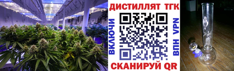 блэк спрут онион  как найти   Николаевск  Дистиллят ТГК Wax 